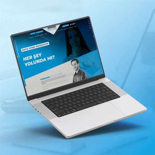 Pandomim Danışmanlık Web Tasarım ve Yazılım